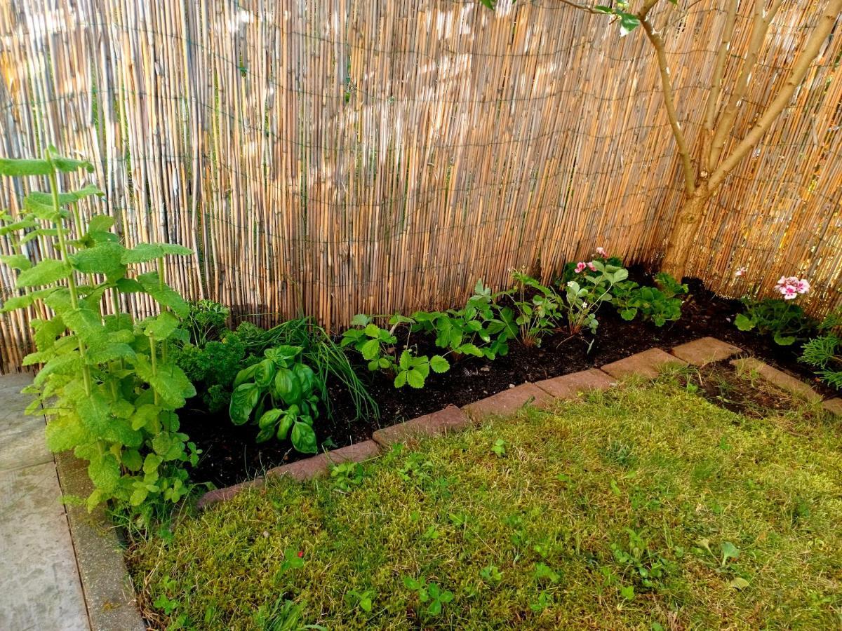 Apartamento Sunny Sleeps 4 By The Beach With Garden Patio - Gdansk Przymorze Exterior foto